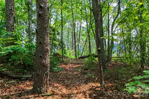 3815 Bat Cave Rd, Old Fort, NC 28762 - Photo 38