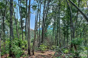 3815 Bat Cave Rd, Old Fort, NC 28762 - Photo 42