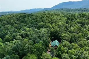 3815 Bat Cave Rd, Old Fort, NC 28762 - Photo 46