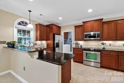 8749 Oakham Street, Huntersville, NC 28078 - Photo 10