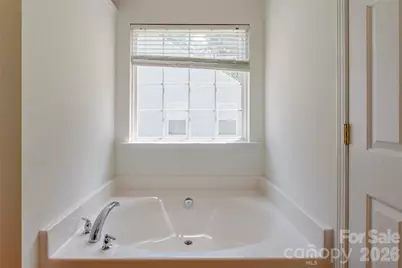 1738 Lillywood Lane, Indian Land, SC 29707 - Photo 18