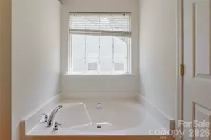1738 Lillywood Ln, Indian Land, SC 29707 - Photo 18