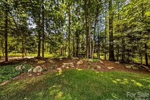 4 Hemlock Rd, Asheville, NC 28803 - Photo 48