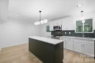 1107 Spring Fall Ct, Charlotte, NC 28213 - Photo 20