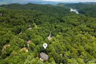 2 Duya Ct, Brevard, NC 28712 - Photo 4
