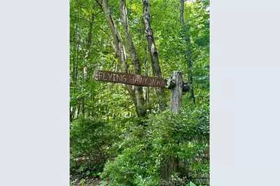 35 Flying Hawk Way, Clyde, NC 28721 - Photo 6