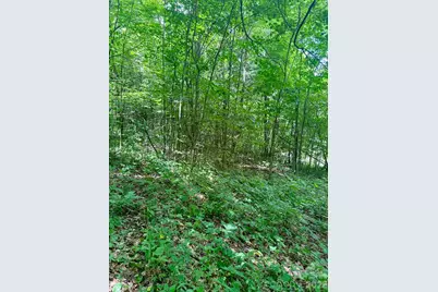35 Flying Hawk Way, Clyde, NC 28721 - Photo 12