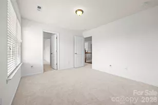13403 Highflyer Woods Ln, Charlotte, NC 28278 - Photo 28