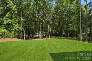 4028 Spindrift Cove Dr, Denver, NC 28037 - Photo 42