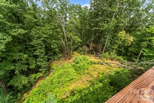 266 Potomac Falls Dr, Black Mountain, NC 28711 - Photo 38