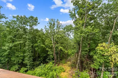 266 Potomac Falls Drive, Black Mountain, NC 28711 - Photo 40