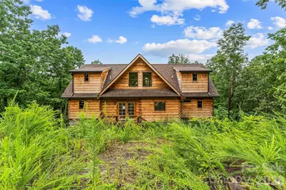 266 Potomac Falls Drive, Black Mountain, NC 28711 - Photo 6