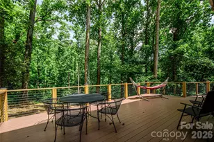 797 Merrills Cove Rd, Asheville, NC 28803 - Photo 10