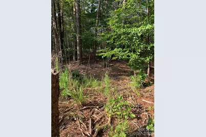 0 Rock House Road, Blacksburg, SC 29702 - Photo 6