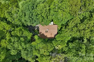 637 Cascade Lake Rd, Pisgah Forest, NC 28768 - Photo 46