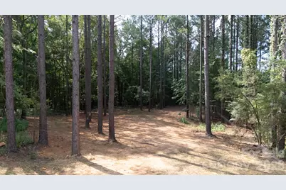 2902 Peden Bridge Road, Chester, SC 29729 - Photo 44