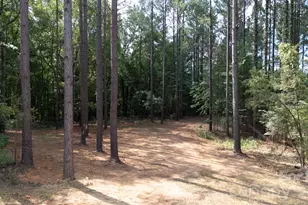 2902 Peden Bridge Rd, Chester, SC 29729 - Photo 44