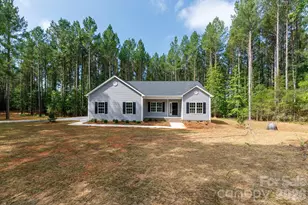 2902 Peden Bridge Rd, Chester, SC 29729 - Photo 4