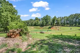 385 Eastview Dr, Bostic, NC 28018 - Photo 12