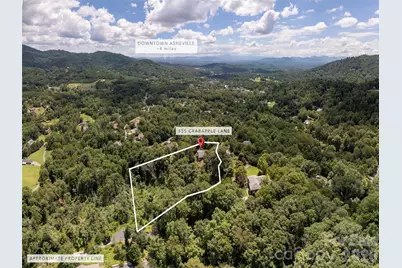 155 Crabapple Lane, Asheville, NC 28804 - Photo 48