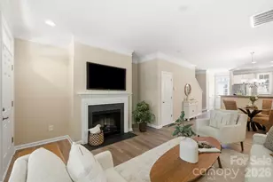 11209 Cedar Walk Lane, Charlotte, NC 28277 - Photo 8