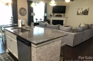223 Butterfly Pl, Fort Mill, SC 29708 - Photo 8