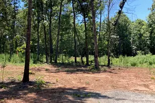 159 Evenfall Ln, Columbus, NC 28722 - Photo 36