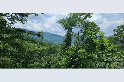 16 Nellie Bell Lane, Swannanoa, NC 28778 - Photo 6