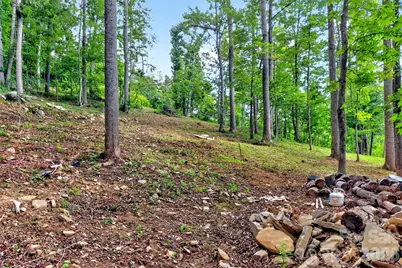 16 Nellie Bell Lane, Swannanoa, NC 28778 - Photo 18
