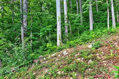 16 Nellie Bell Lane, Swannanoa, NC 28778 - Photo 16