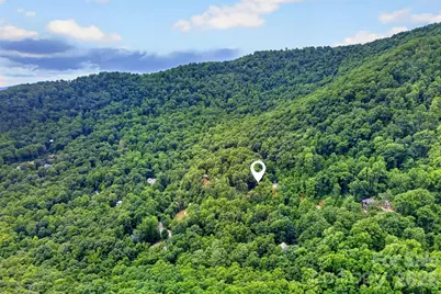 16 Nellie Bell Lane, Swannanoa, NC 28778 - Photo 26
