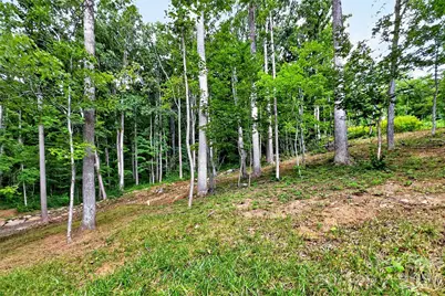 16 Nellie Bell Lane, Swannanoa, NC 28778 - Photo 12
