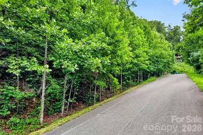 32 Nellie Bell Lane, Swannanoa, NC 28778 - Photo 18