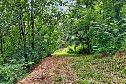 32 Nellie Bell Lane, Swannanoa, NC 28778 - Photo 6