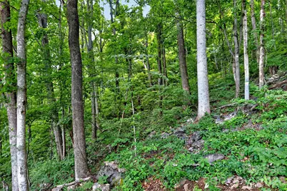 32 Nellie Bell Lane, Swannanoa, NC 28778 - Photo 12