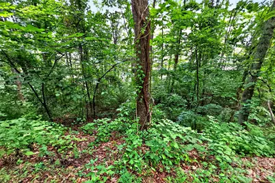 32 Nellie Bell Lane, Swannanoa, NC 28778 - Photo 14