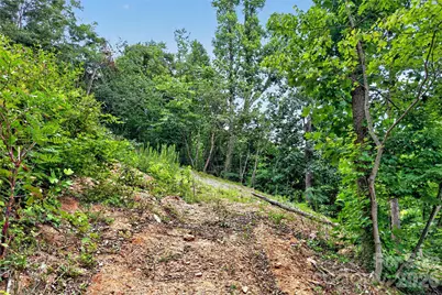 32 Nellie Bell Lane, Swannanoa, NC 28778 - Photo 10