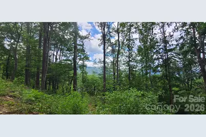 32 Nellie Bell Lane, Swannanoa, NC 28778 - Photo 4