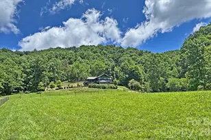 294 Red Knob Ln, Marshall, NC 28753 - Photo 4
