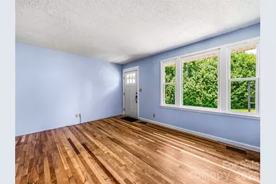 43 Trowbridge Lane, Brevard, NC 28712 - Photo 6