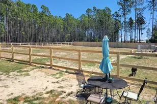 6883 Airport Rd, Mount Croghan, SC 29727 - Photo 6