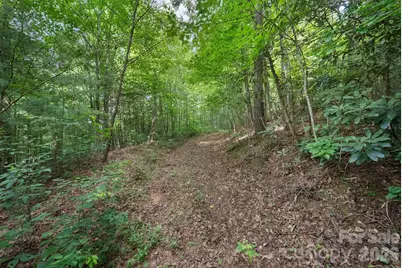 00 Tellico Road, Franklin, NC 28734 - Photo 16