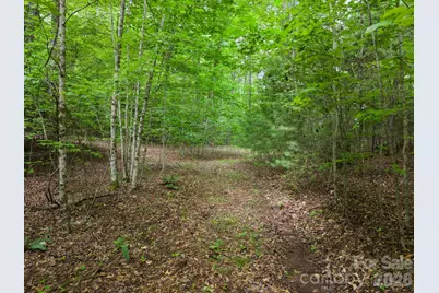 00 Tellico Road, Franklin, NC 28734 - Photo 10