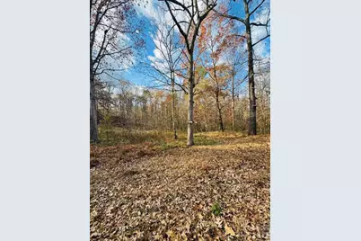 6130 Andria Lane, Connelly Springs, NC 28612 - Photo 4