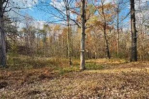 6130 Andria Ln, Connelly Springs, NC 28612 - Photo 4