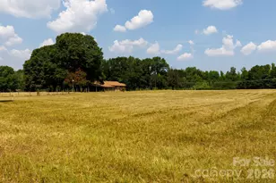 410 Ole Simpson Pl, Catawba, SC 29704 - Photo 2