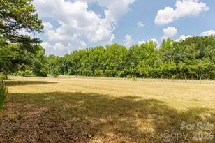 410 Ole Simpson Pl, Catawba, SC 29704 - Photo 38