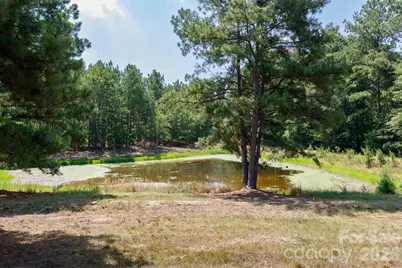 410 Ole Simpson Place, Catawba, SC 29704 - Photo 26