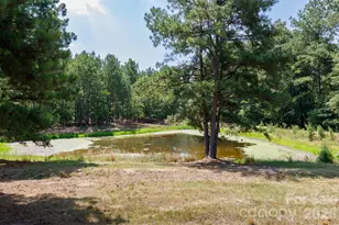 410 Ole Simpson Pl, Catawba, SC 29704 - Photo 26