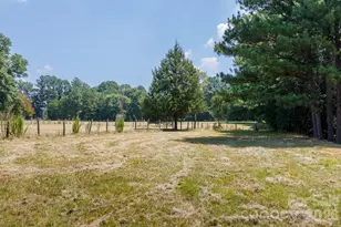 410 Ole Simpson Pl, Catawba, SC 29704 - Photo 40
